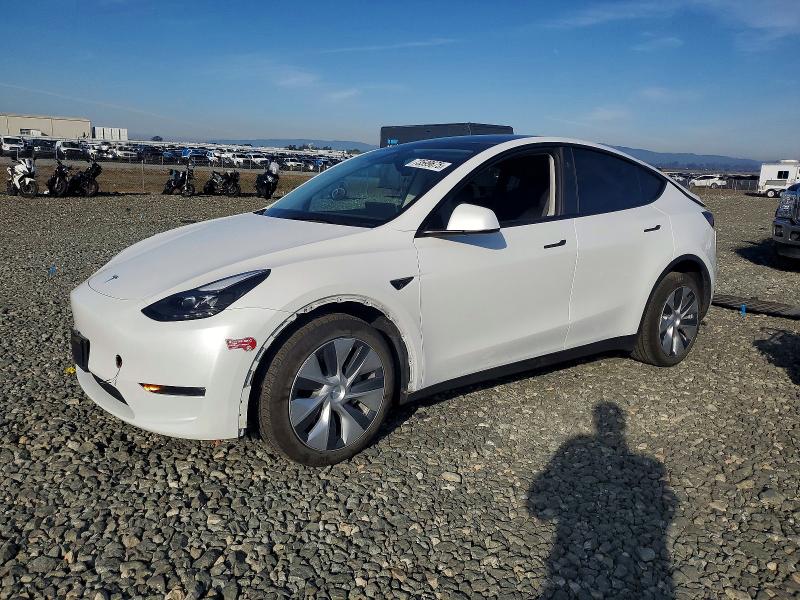 TESLA MODEL Y 2024 with VIN 7SAYGDEE9RF983210 - Photo from auction