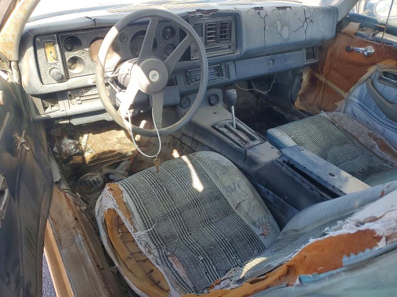 Photo 8 from auction – 1981 CHEVROLET CAMARO with VIN 1G1AP87K2BL139983