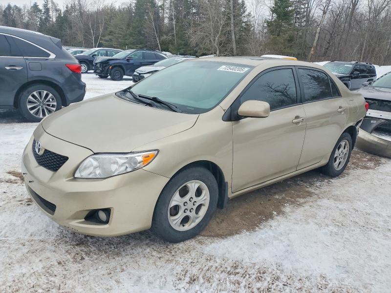 TOYOTA COROLLA 2009 with VIN 2T1BU40E99C174619 - Photo from auction
