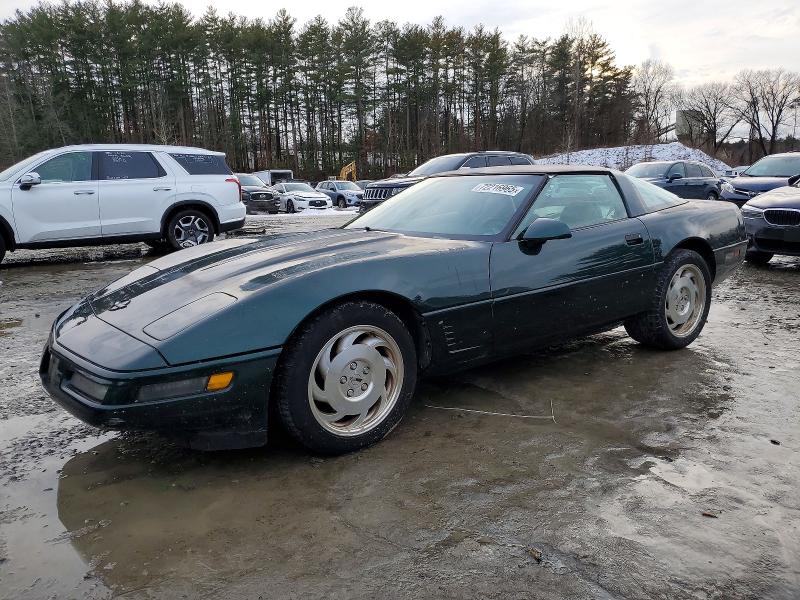 CHEVROLET CORVETTE 1996 with VIN 1G1YY22P7T5109959 - Photo from auction