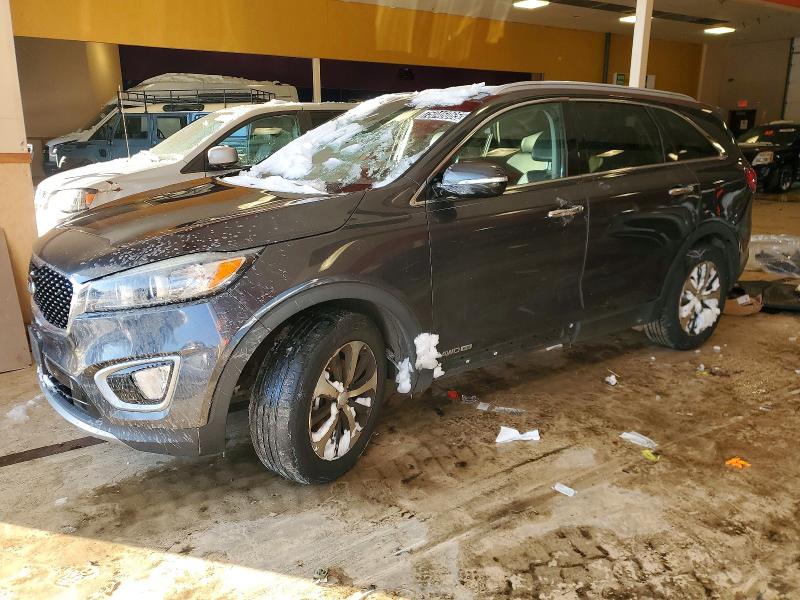 KIA SORENTO EX 2017 with VIN 5XYPHDA54HG225648 - Photo from auction