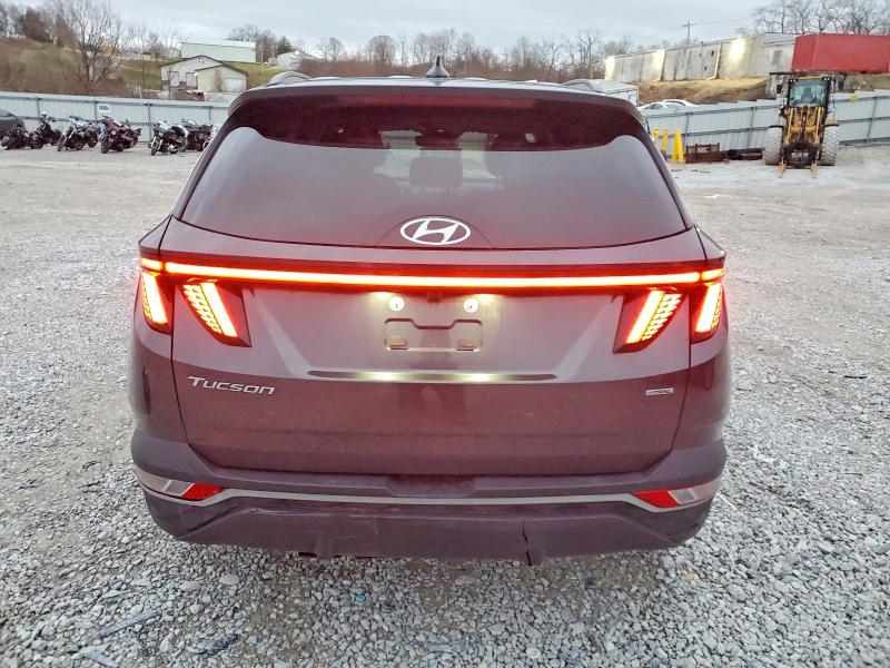 Photo 6 from auction – 2023 HYUNDAI TUCSON SEL with VIN 5NMJFCAE3PH202095