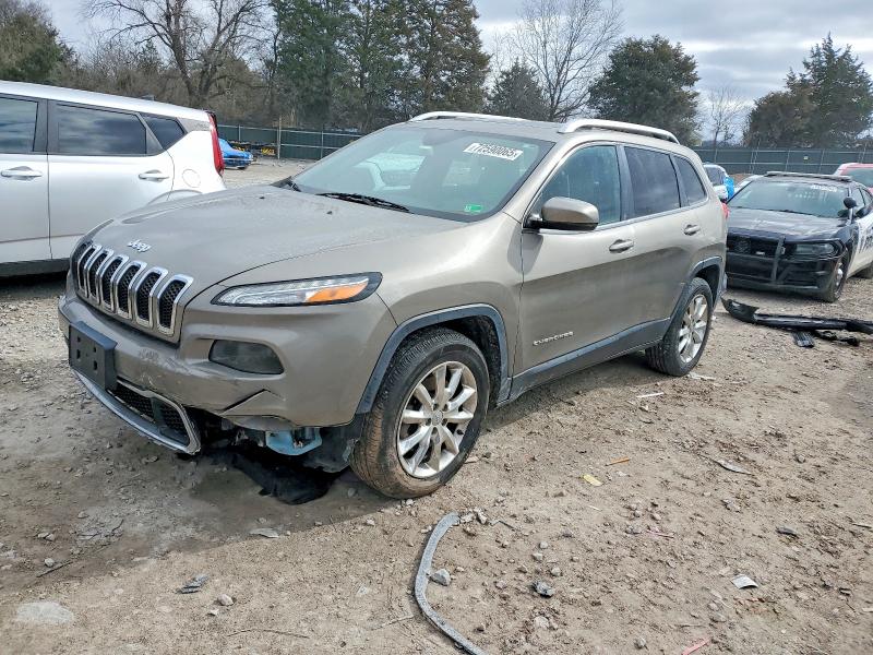 JEEP CHEROKEE 2016 with VIN 1C4PJMDS2GW300600 - Photo from auction
