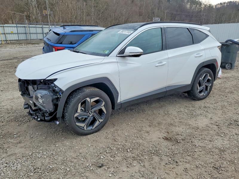 HYUNDAI TUCSON LIM 2024 with VIN KM8JECD10RU219200 - Photo from auction