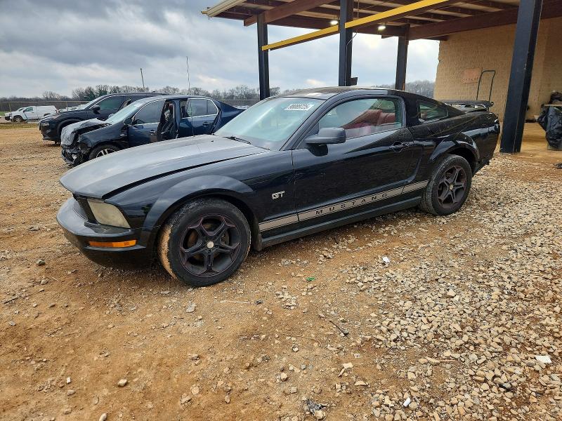 FORD MUSTANG 2005 with VIN 1ZVFT80N355224589 - Photo from auction