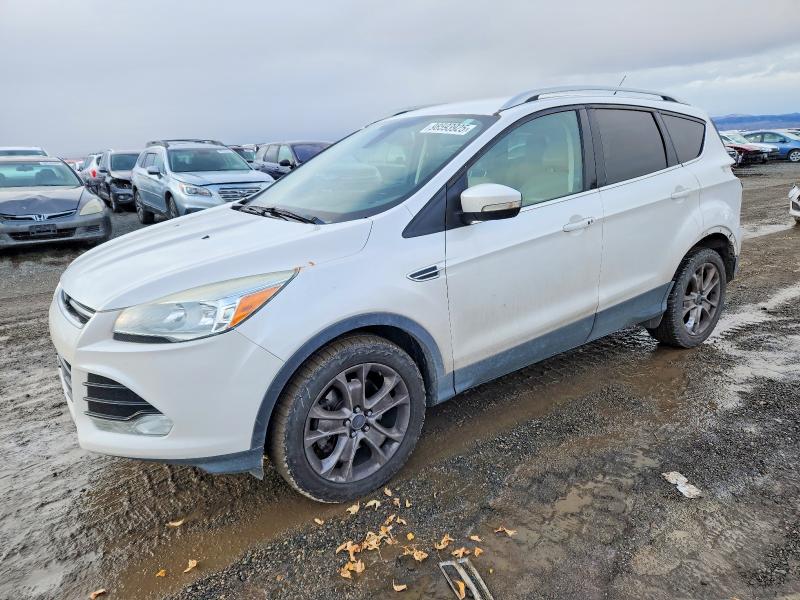 FORD ESCAPE TIT 2014 with VIN 1FMCU9J92EUE51235 - Photo from auction