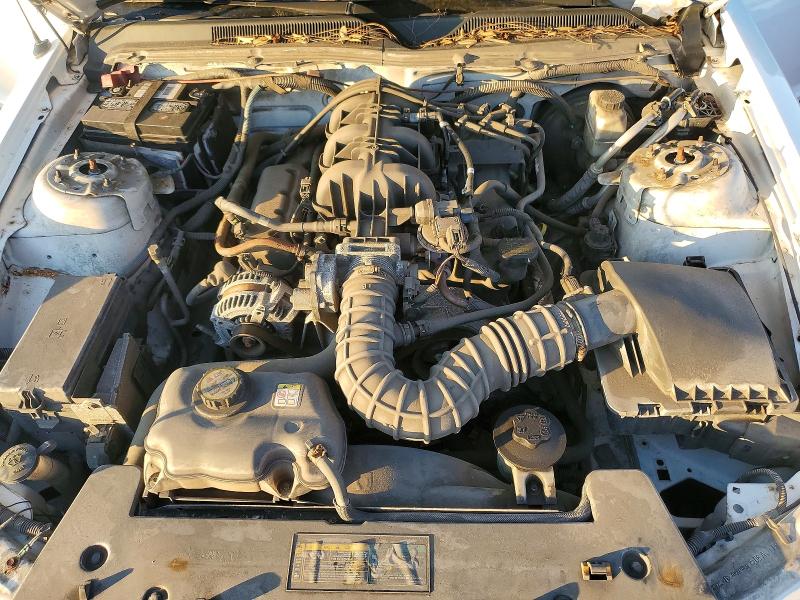 Photo 11 from auction – 2009 FORD MUSTANG with VIN 1ZVHT80N295136454