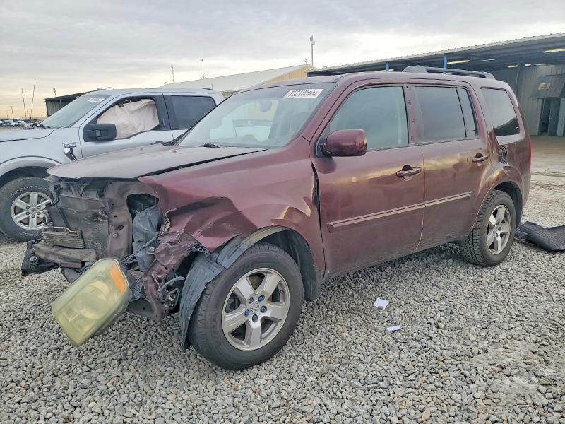 HONDA PILOT EXL 2010 with VIN 5FNYF3H52AB019736 - Photo from auction