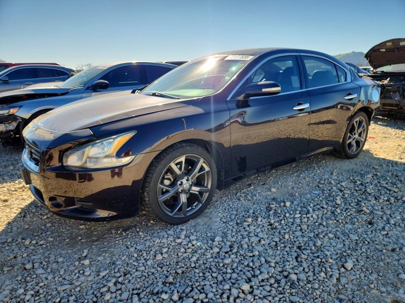 NISSAN MAXIMA S 2013 with VIN 1N4AA5AP1DC804845 - Photo from auction