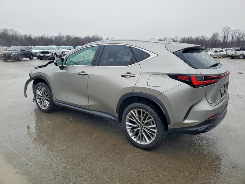 Photo 2 from auction – 2025 LEXUS NX 350 PRE with VIN 2T2GGCEZ4SC083889