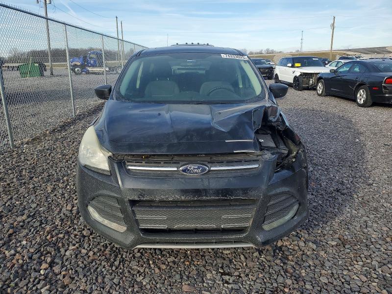 Photo 5 from auction – 2014 FORD ESCAPE with VIN 1FMCU0GX2EUB40681
