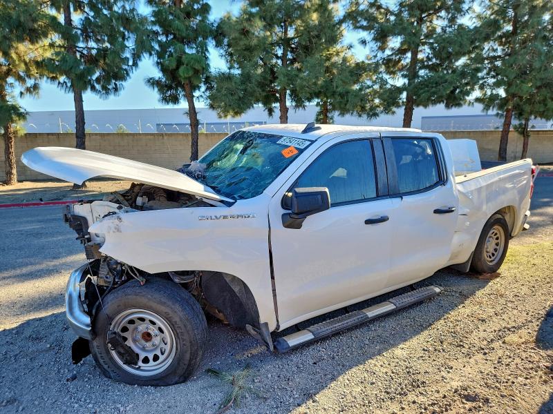 CHEVROLET SILVERADO 2024 with VIN 1GCRAAED5RZ259033 - Photo from auction