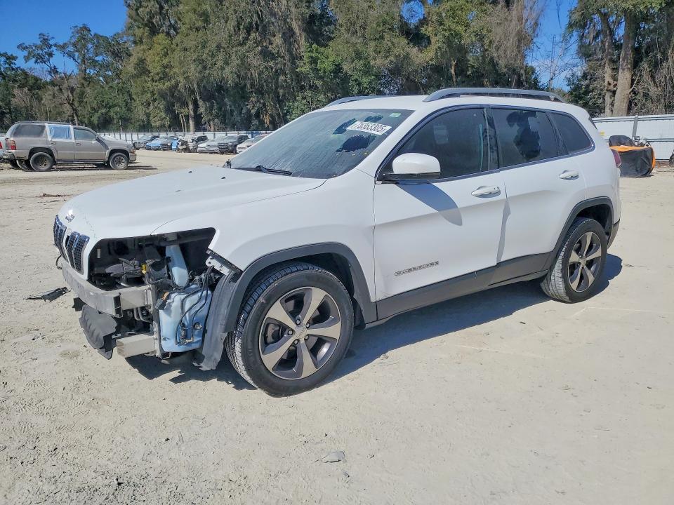 JEEP CHEROKEE 2019 with VIN 1C4PJLDB6KD123063 - Photo from auction