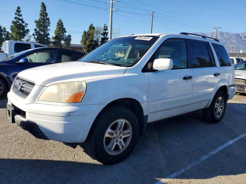 HONDA PILOT EX 2003 with VIN 2HKYF18473H533551 - Photo from auction