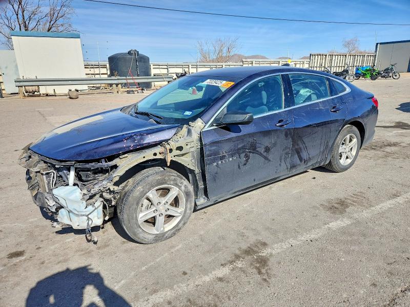 CHEVROLET MALIBU LS 2023 with VIN 1G1ZB5ST7PF243178 - Photo from auction