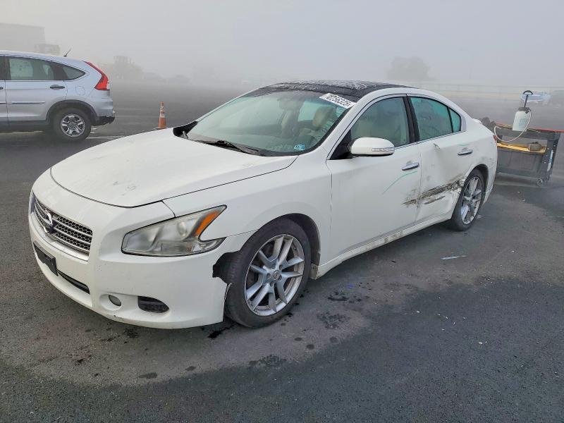 NISSAN MAXIMA 2010 with VIN 1N4AA5AP3AC842072 - Photo from auction