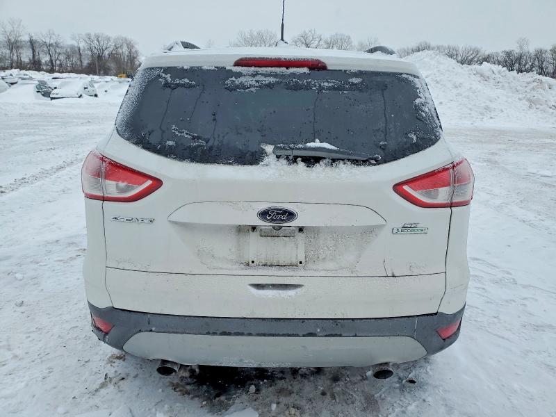 Photo 6 from auction – 2014 FORD ESCAPE SE with VIN 1FMCU0GX8EUD73805