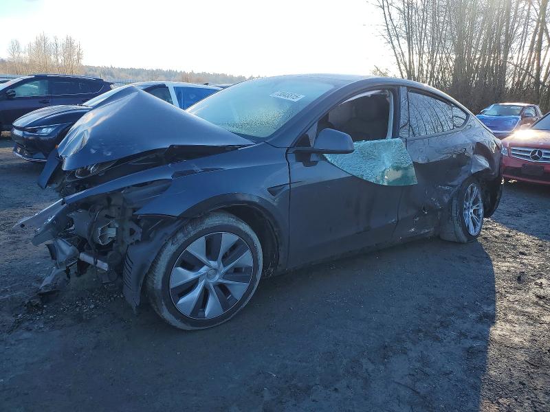 TESLA MODEL Y 2024 with VIN 7SAYGDED3RF053228 - Photo from auction