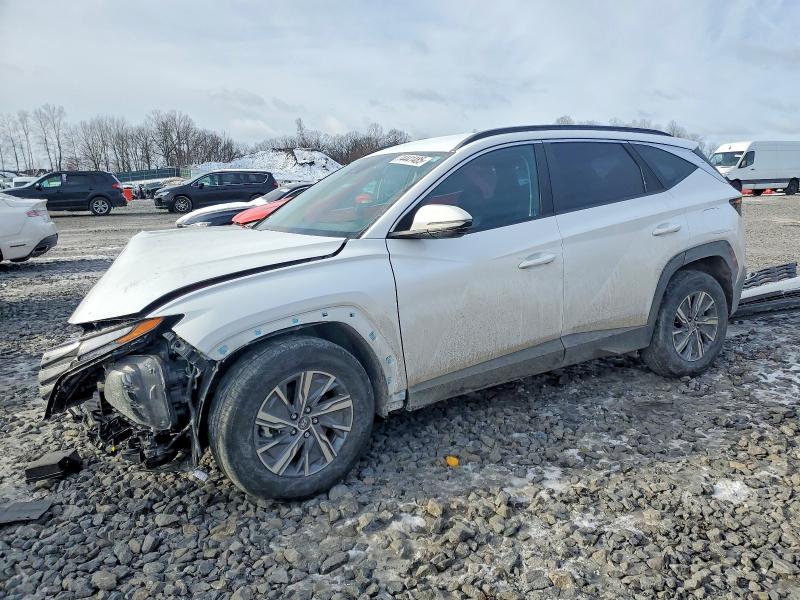 Photo 1 from auction – 2023 HYUNDAI TUCSON BLU with VIN KM8JBCA18PU096076