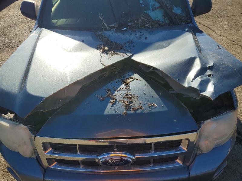 Photo 12 from auction – 2010 FORD ESCAPE with VIN 1FMCU0D72AKD24268