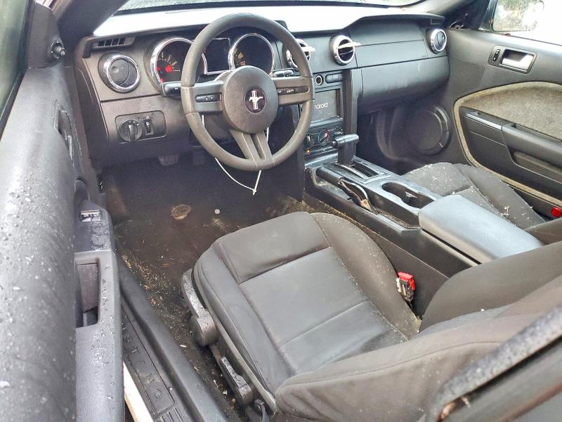 Photo 8 from auction – 2005 FORD MUSTANG with VIN 1ZVFT80N455154696