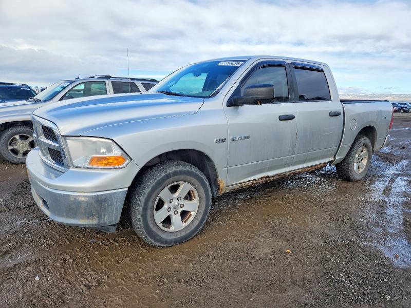 DODGE RAM 1500 2009 with VIN 1D3HV13T79S739732 - Photo from auction