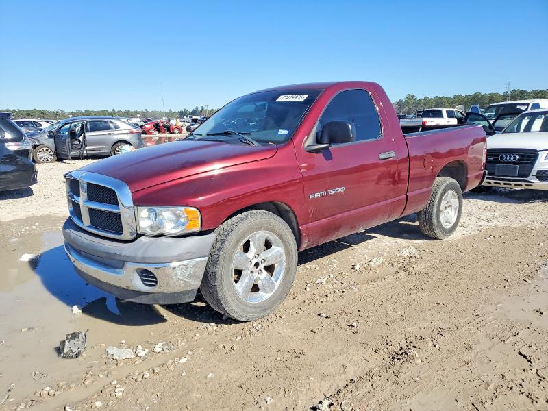 DODGE RAM 1500 2002 with VIN 1D7HA16K82J133011 - Photo from auction