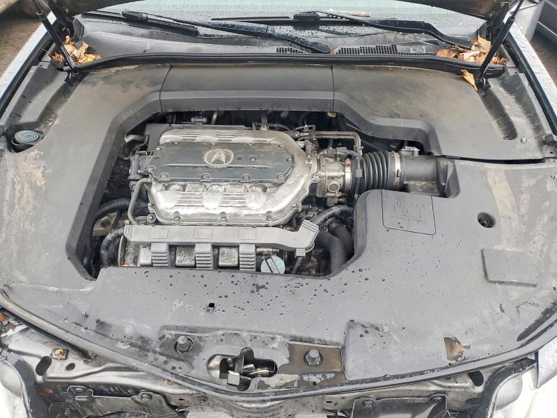 Photo 11 from auction – 2009 ACURA TL with VIN 19UUA86549A019112