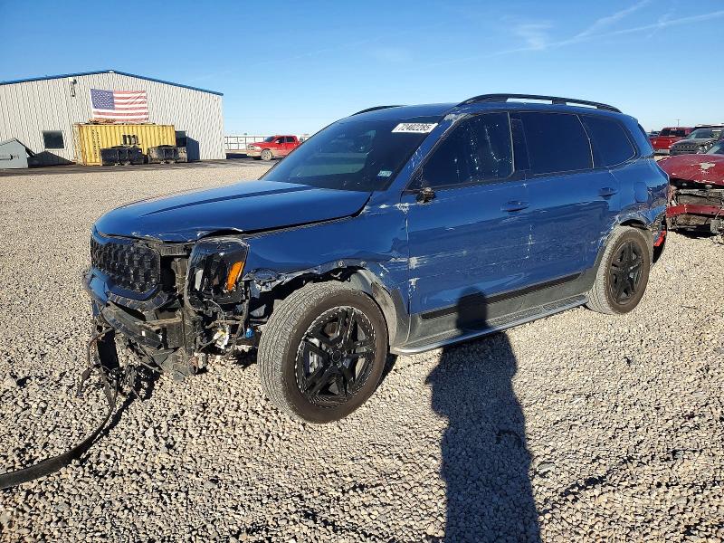 KIA TELLURIDE 2025 with VIN 5XYP5DGC2SG601916 - Photo from auction