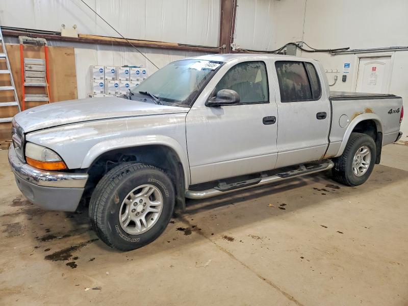 DODGE DAKOTA 2004 with VIN 1D7HG48N84S666917 - Photo from auction