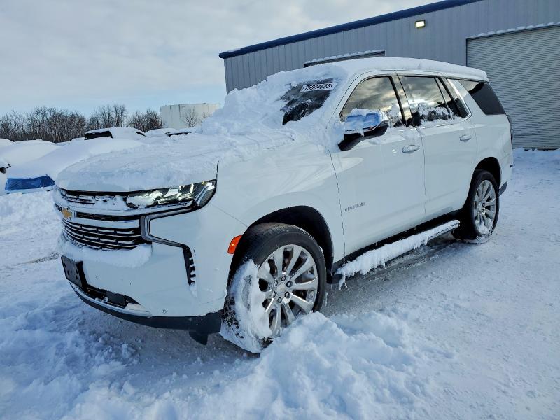 CHEVROLET TAHOE K150 2023 with VIN 1GNSKSKD0PR217513 - Photo from auction