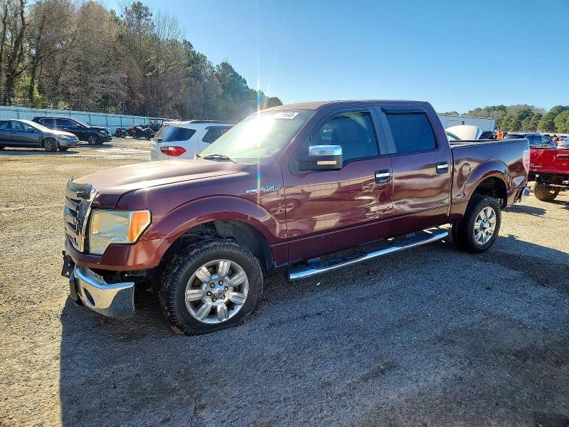 FORD F150 SUPER 2010 with VIN 1FTEW1C84AKA22181 - Photo from auction