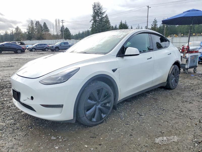 TESLA MODEL Y 2023 with VIN 7SAYGDEEXPF830378 - Photo from auction