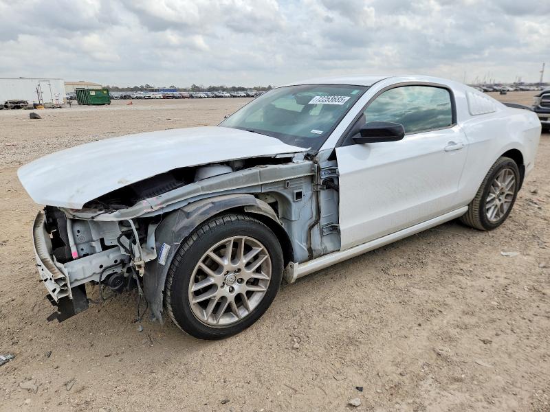 FORD MUSTANG 2014 with VIN 1ZVBP8AM4E5296362 - Photo from auction