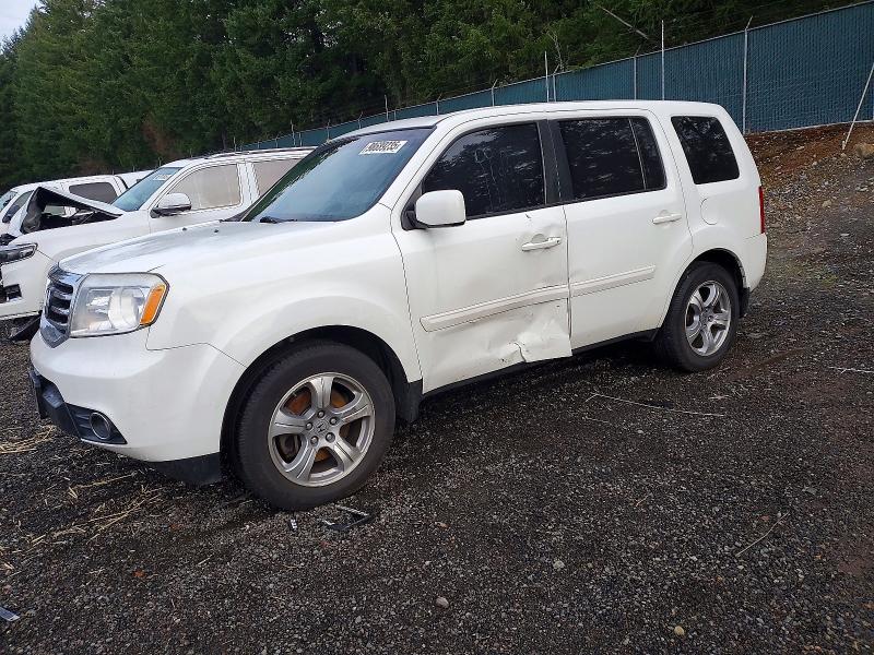 HONDA PILOT EXL 2013 with VIN 5FNYF4H59DB009909 - Photo from auction