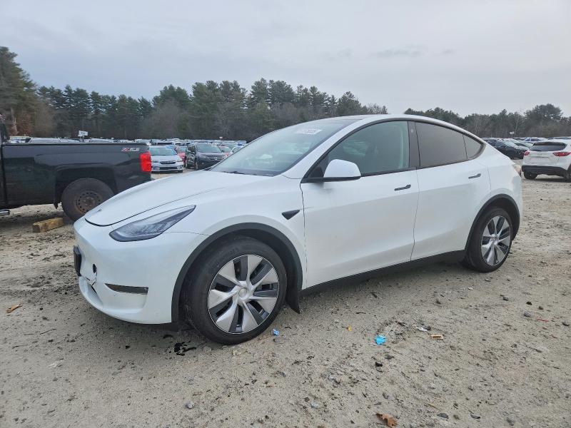 TESLA MODEL Y 2023 with VIN 7SAYGDEE5PA093443 - Photo from auction