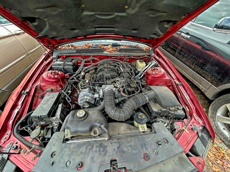 Photo 7 from auction – 2007 FORD MUSTANG with VIN 1ZVFT84N575262497