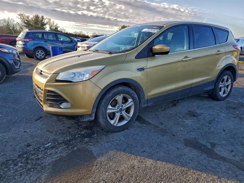 FORD ESCAPE SE 2014 with VIN 1FMCU0GX1EUD07113 - Photo from auction