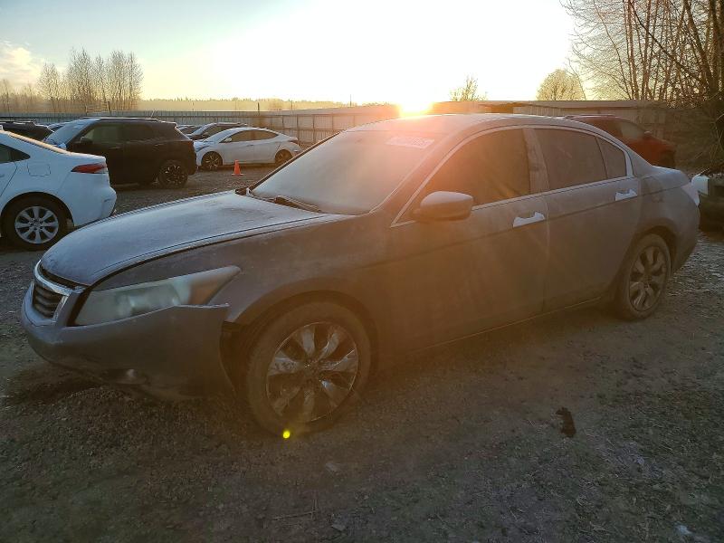 HONDA ACCORD EXL 2008 with VIN 1HGCP36848A075105 - Photo from auction