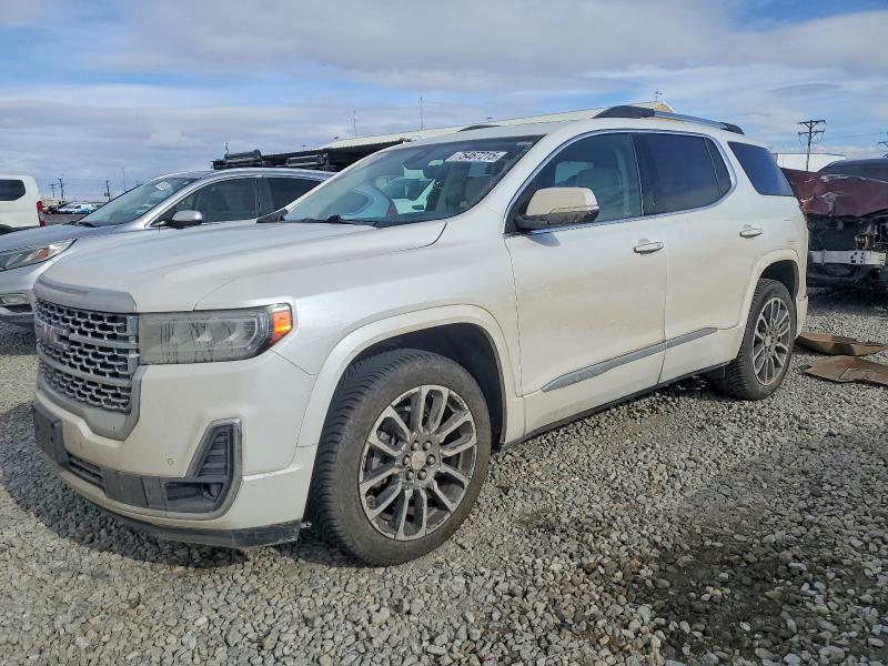 GMC ACADIA DEN 2020 with VIN 1GKKNXLS4LZ172164 - Photo from auction