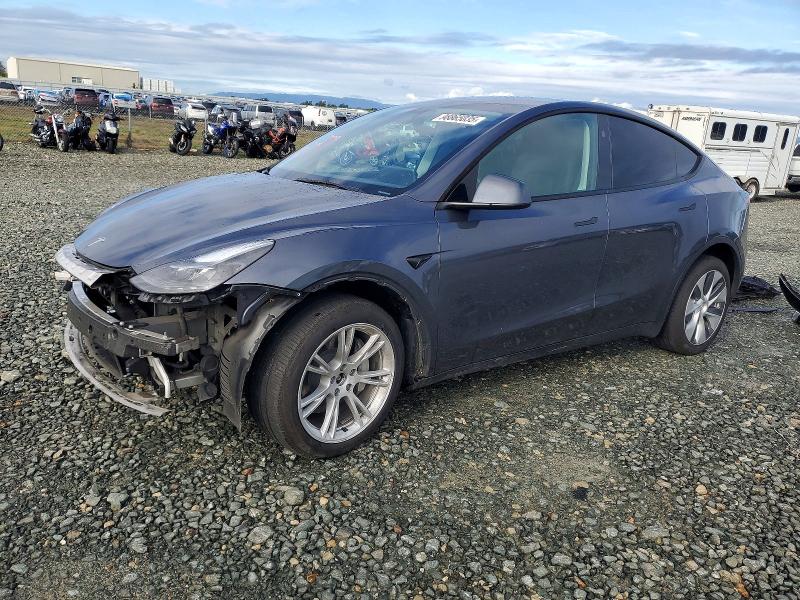 TESLA MODEL Y 2023 with VIN 7SAYGDEE9PA201918 - Photo from auction