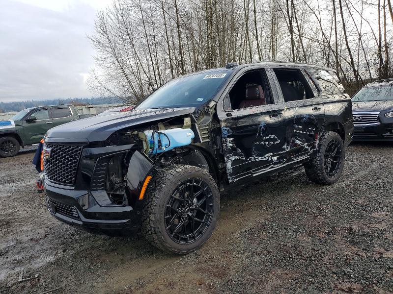 CADILLAC ESCALADE 2025 with VIN 1GYS9FRL5SR221441 - Photo from auction
