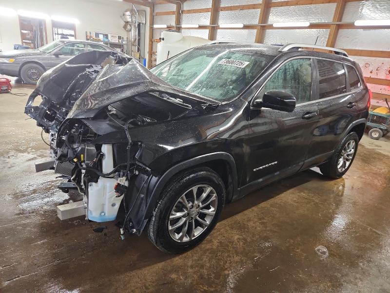 JEEP CHEROKEE 2020 with VIN 1C4PJLLB6LD652533 - Photo from auction