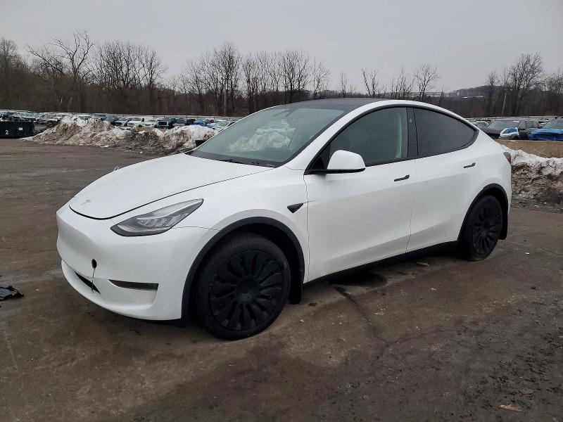 TESLA MODEL Y 2023 with VIN 7SAYGDEE9PA148928 - Photo from auction