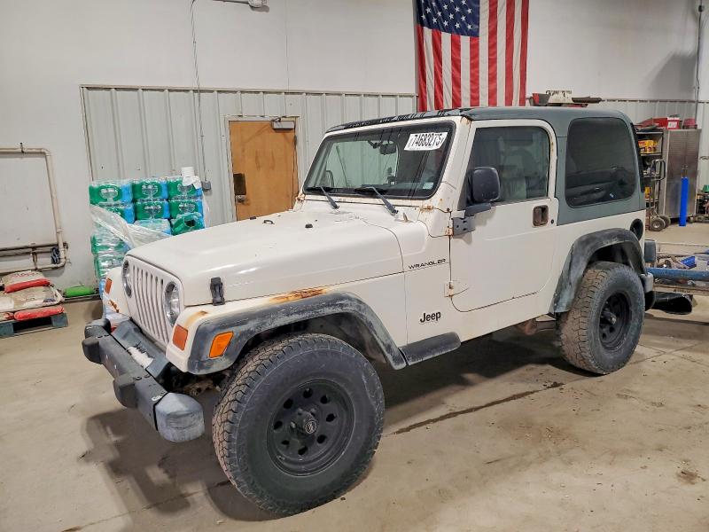 JEEP WRANGLER / 2001 with VIN 1J4FA29P31P306597 - Photo from auction