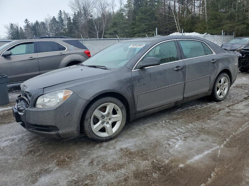 CHEVROLET MALIBU LS 2010 with VIN 1G1ZB5E08A4148892 - Photo from auction