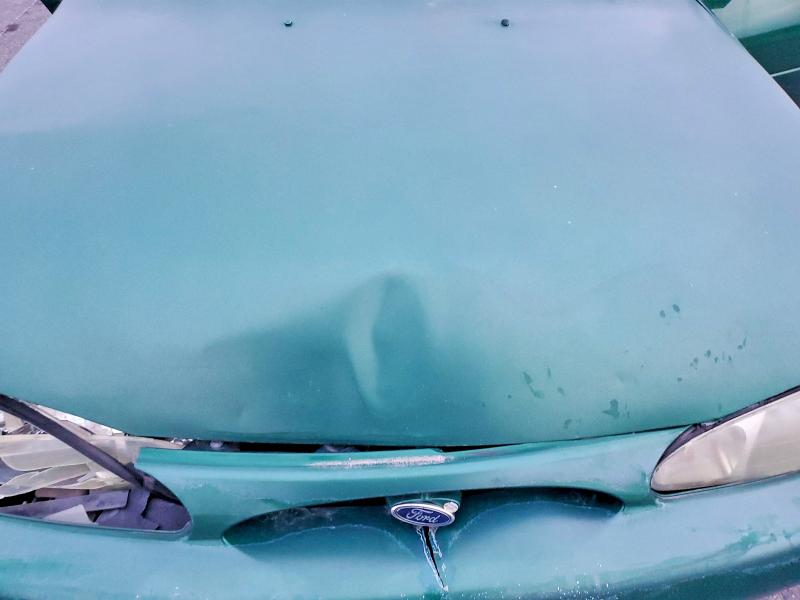 Photo 11 from auction – 2002 FORD ESCORT with VIN 3FAFP13P32R184539
