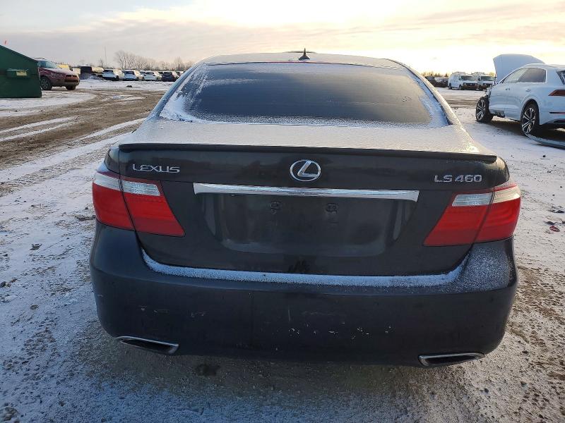 Photo 6 from auction – 2008 LEXUS LS 460 with VIN JTHBL46F585066480
