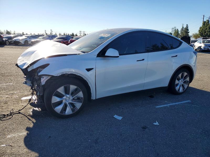 TESLA MODEL Y 2024 with VIN 7SAYGDEE2RF057893 - Photo from auction