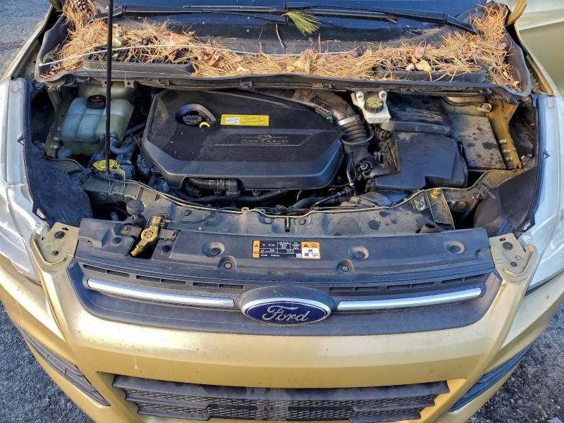 Photo 12 from auction – 2014 FORD ESCAPE SE with VIN 1FMCU0GX1EUD07113